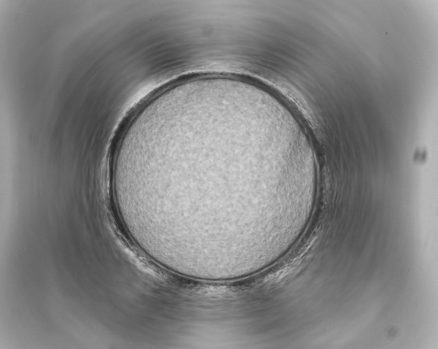 X0000093740982200711131057