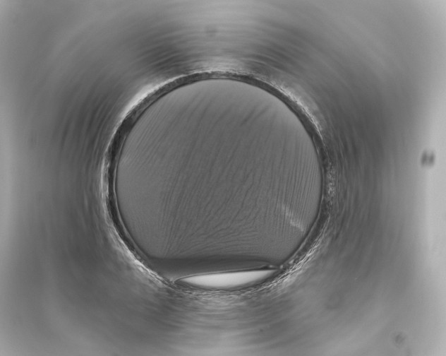 X0000093740983200711131057