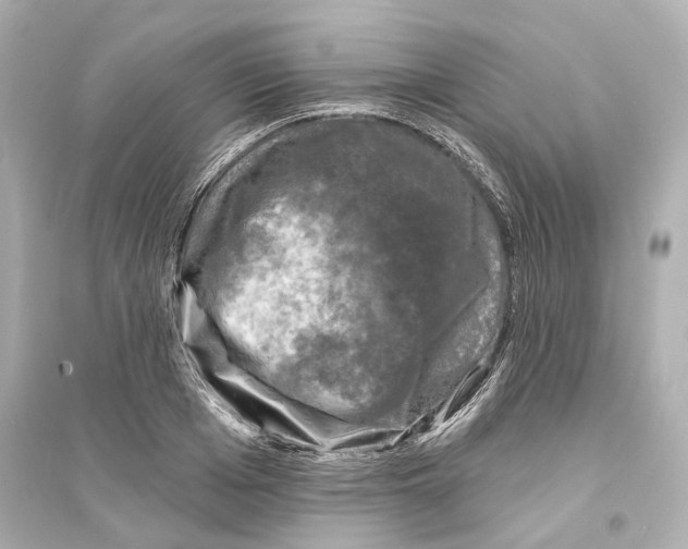 X0000093740985200711131057