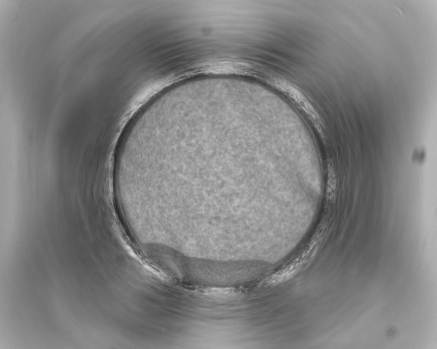 X0000093740986200711131057