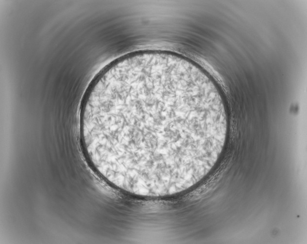 X0000093740988200711131057