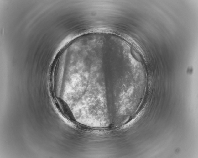 X0000093740989200711131057