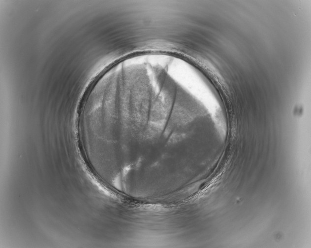 X0000093740990200711131057