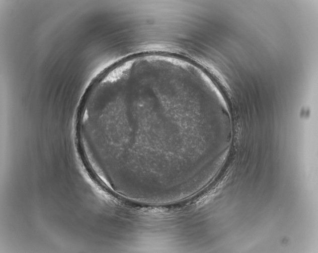X0000093740991200711131057