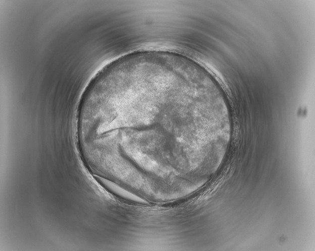 X0000093740992200711131057