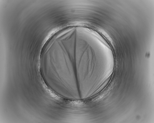 X0000093740994200711131057