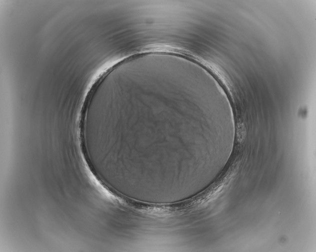 X0000093740995200711131057