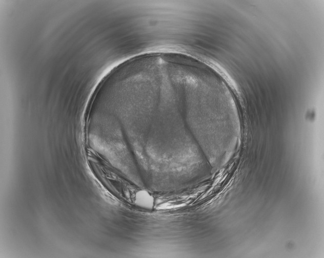 X0000093740996200711131057
