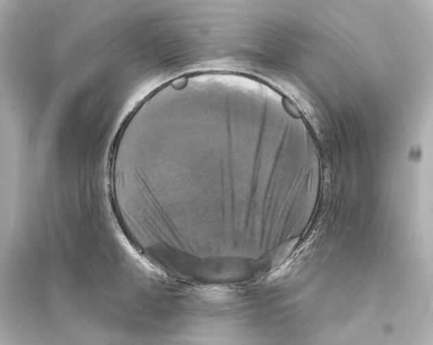 X0000093740998200711131057