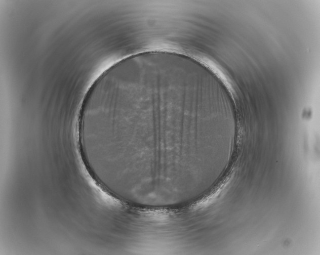 X0000093740999200711131057