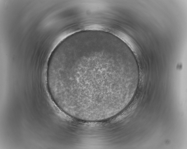X0000093741000200711131057
