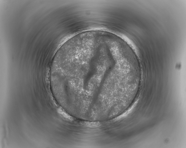 X0000093741001200711131057
