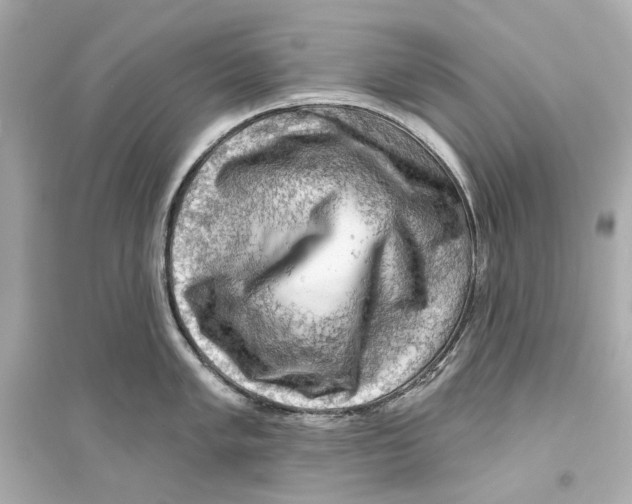 X0000093741005200711131057