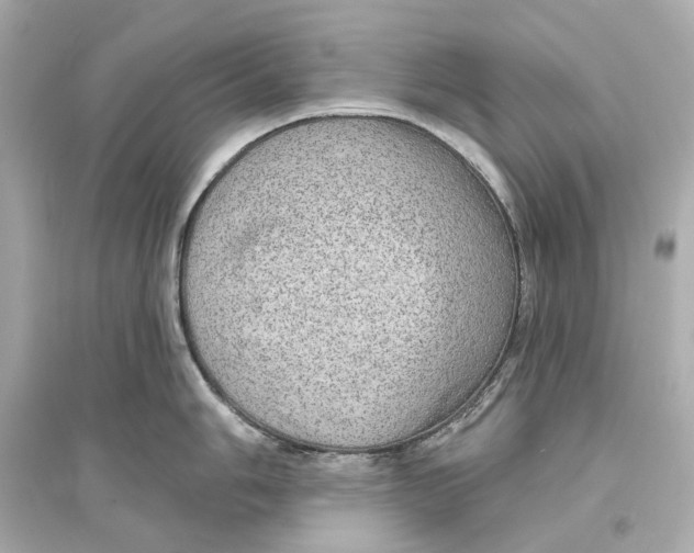 X0000093741006200711131057
