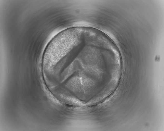X0000093741008200711131057