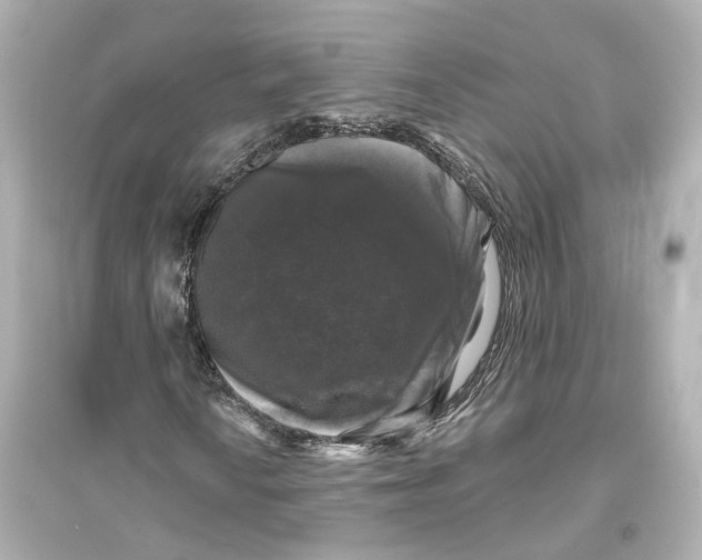 X0000093741010200711131056