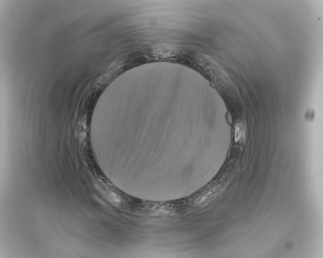 X0000093741011200711131056
