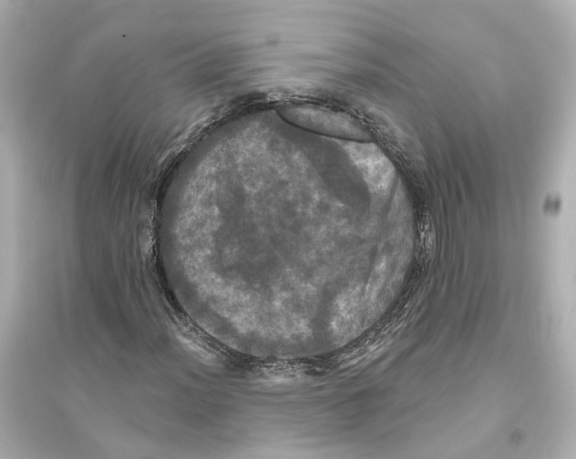 X0000093741012200711131056