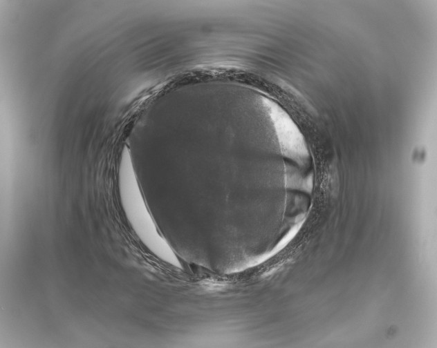 X0000093741014200711131056