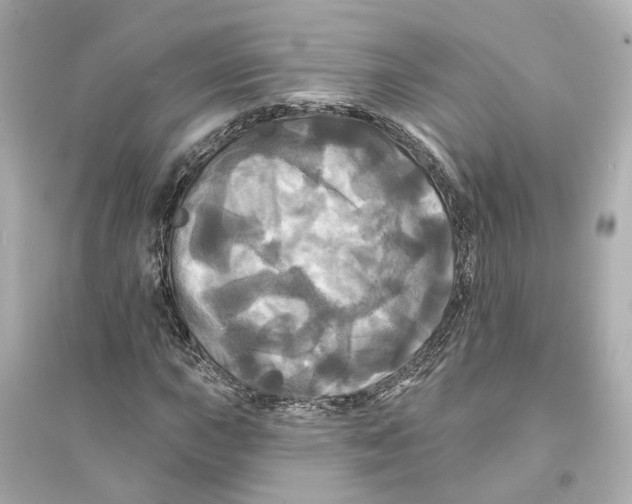 X0000093741015200711131056