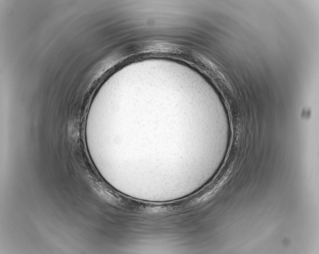 X0000093741017200711131056