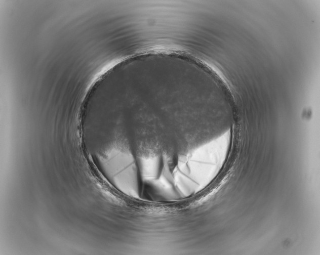 X0000093741018200711131056
