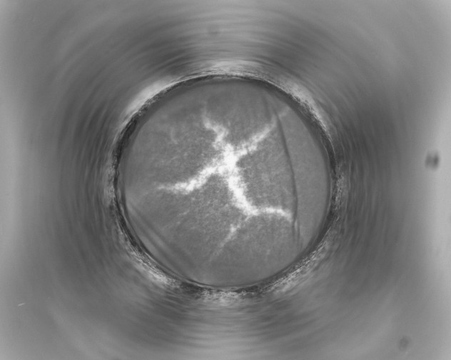 X0000093741019200711131056