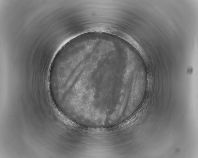 X0000093741020200711131056