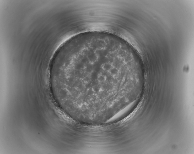 X0000093741021200711131056