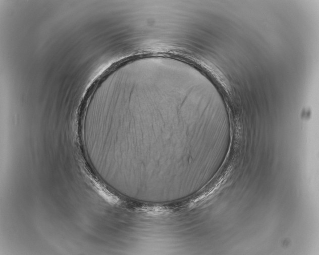 X0000093741023200711131056