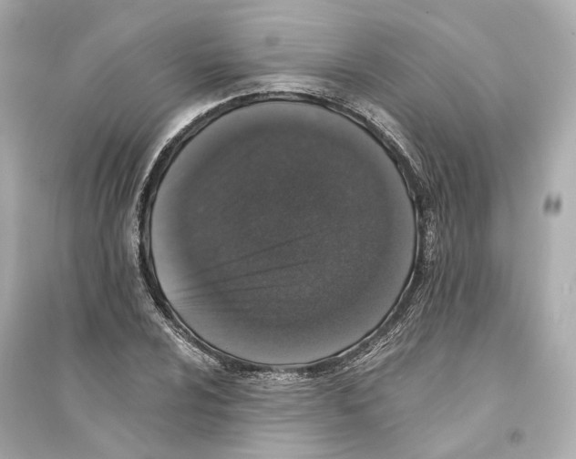 X0000093741024200711131057
