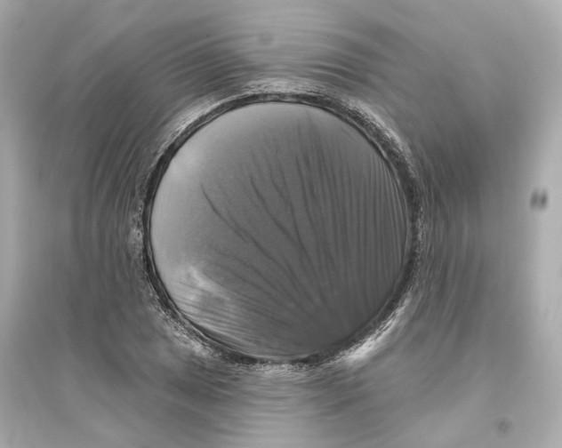 X0000093741025200711131057