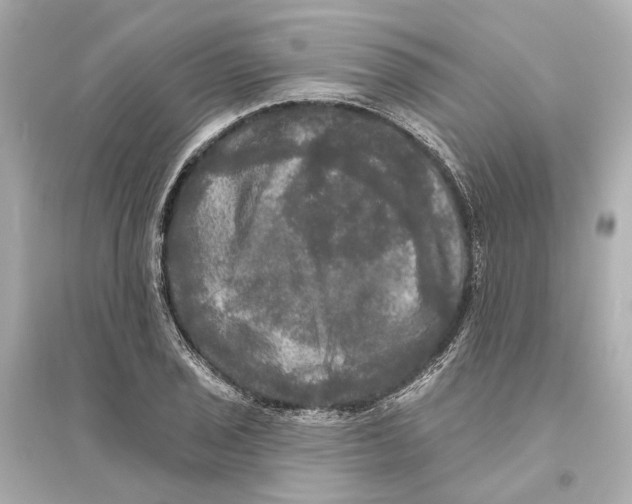 X0000093741029200711131057