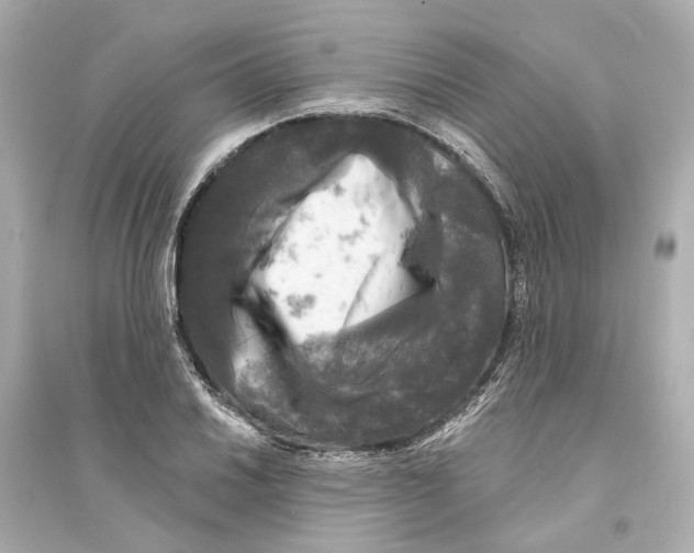 X0000093741030200711131057