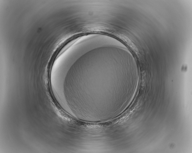 X0000093741031200711131057