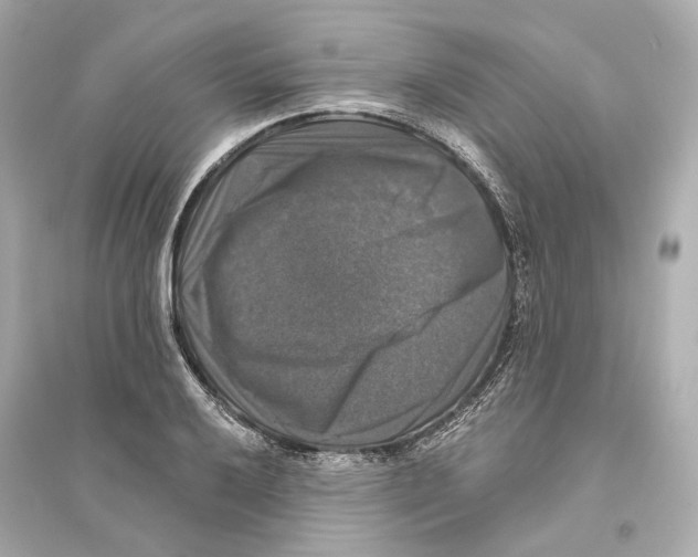X0000093741032200711131057