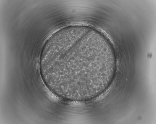 X0000093741033200711131057