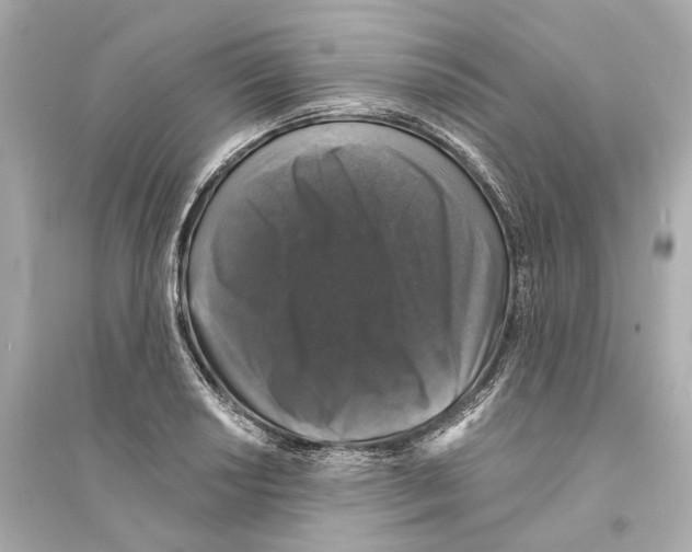 X0000093741034200711131057