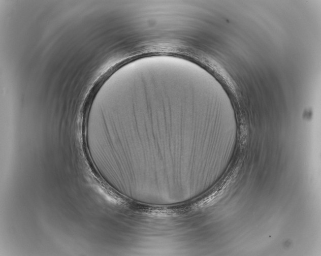 X0000093741035200711131057