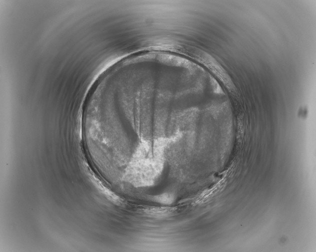X0000093741036200711131057