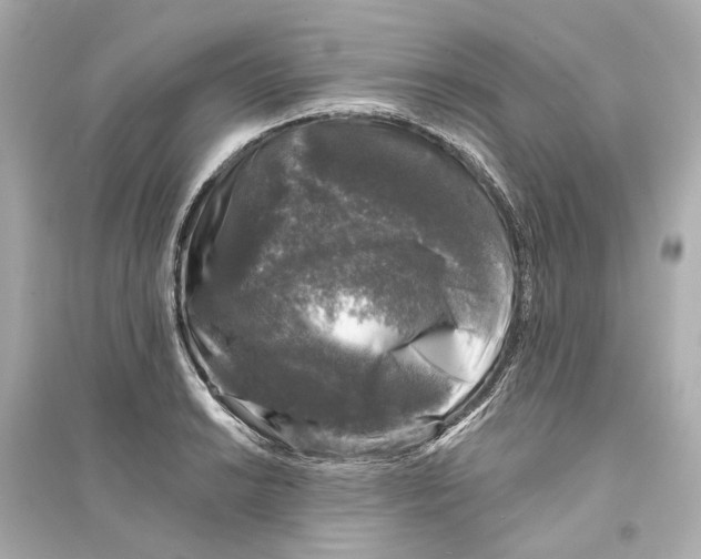 X0000093741038200711131057