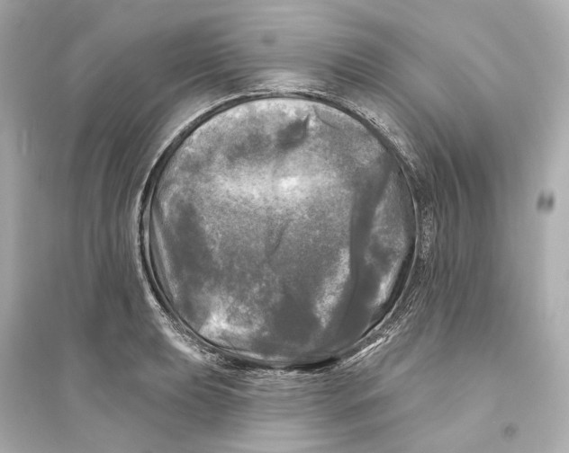 X0000093741039200711131057