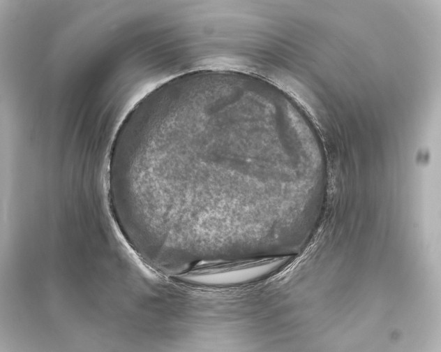 X0000093741040200711131057