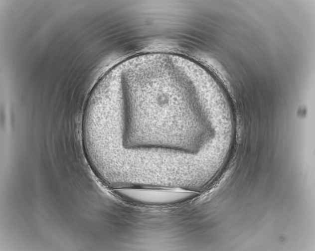X0000093741041200711131057