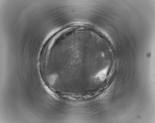 X0000093741042200711131057