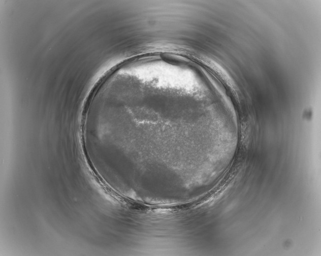X0000093741043200711131057