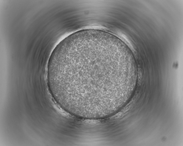 X0000093741044200711131057