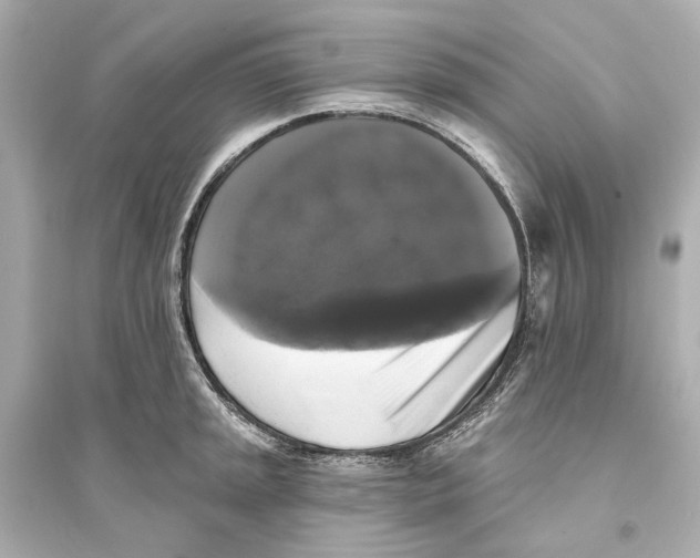 X0000093741045200711131057