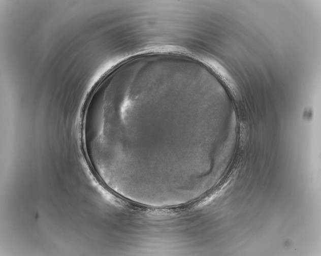 X0000093741046200711131057