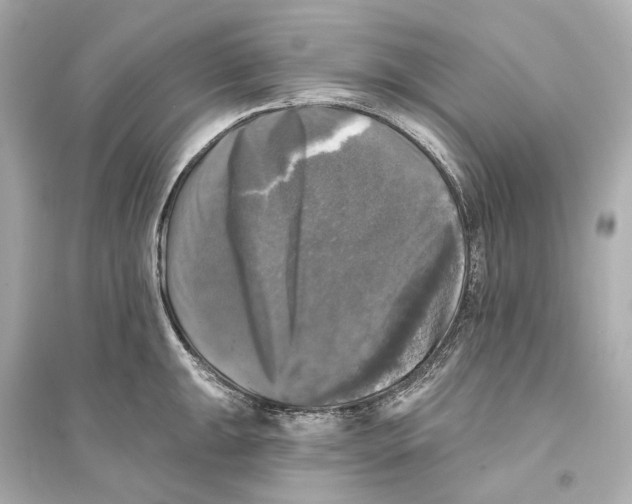 X0000093741047200711131057
